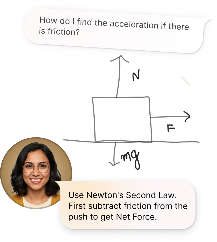 Homework assistance interface
